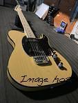 ASAT Special in Butterscotch Blonde over swamp ash