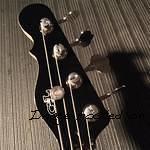 CLF080119 headstock