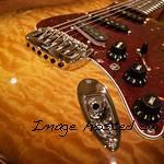 CS Legacy hardtail with AC bridge pickup-2 jpg