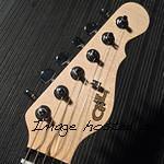 CS2102017 headstock