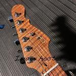 CS2206006 headstock