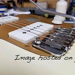 Closeup detail of Doheny bridge pickup and vibrato