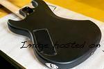 Custom Shop Rampage in Jet Black Frost-6