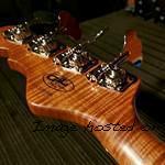 LB-100 in Roasted Ash with a really flammy Roasted Maple neck-2