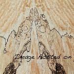 Spalted Maple top What do you see 