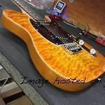 ASAT Special in Honeyburst quilted maple top body view