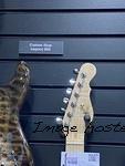 IMG 4945