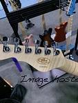 IMG 4969