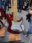 IMG 4979