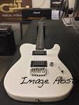 ASAT HH RMC in Pearl White ebony board