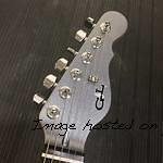 Graphite Metallic Frost Headstock