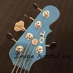 Kiloton 5 LPB Frost matching headstock