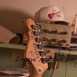 2002 prototype Tribute by G amp L S 500-5