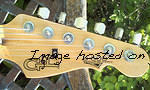 S-500 Headstock